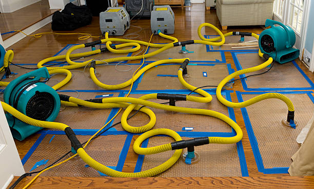 Professional Crawl Space Water Removal technician working in Calliham, TX